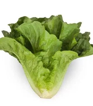 Насіння салату Авон, п.о. 1 тис. насінин (Rijk Zwaan)