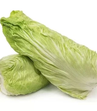 Насіння салату Веспер F1, п.о. 5 тис. насінин (Enza Zaden)