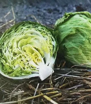 Насіння салату Грін Мун (ІСЕ 18140), п.о. 1 тис. насінин (Hazera)