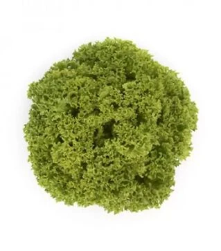 Семена салата Лимасол, п.е. 1 тыс. семян (Rijk Zwaan)