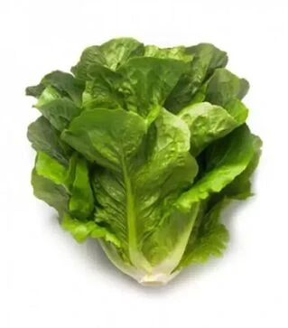 Насіння салату Максімус, п.о. 5 тис. насінин (Rijk Zwaan)