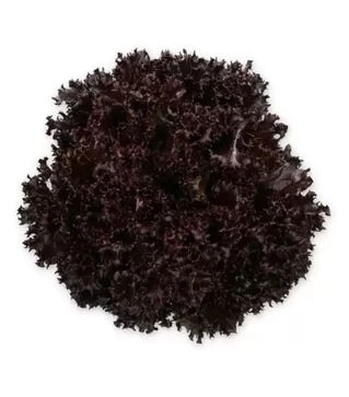 Семена салата Скамандер, и.о. 1 тыс. семян (Rijk Zwaan)