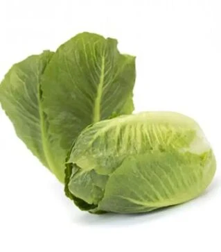 Семена салата Тендита, п.е. 1 тыс. семян (Rijk Zwaan)