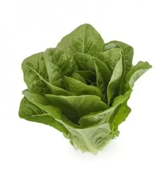 Насіння салату Тукадонна, п.о. 1 тис. насінин (Rijk Zwaan)