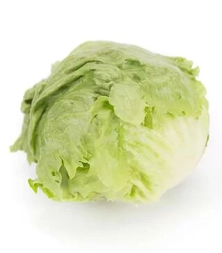 Семена салата Мерлинас, п.е. 5 тыс. семян (Rijk Zwaan)