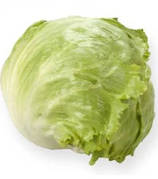 Насіння салату Платінас, п.о. 5 тис. насінин (Rijk Zwaan)