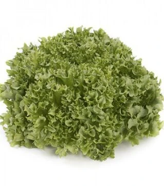 Семена салата Лалик, п.е. 5 тыс. семян (Rijk Zwaan)