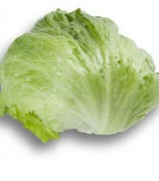 Насіння салату Ікебанас, п.о. 5 тис. насінин (Rijk Zwaan)