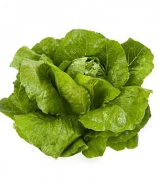 Насіння салату Вікторінус, п.о. 5 тис. насінин (Rijk Zwaan)