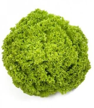 Насіння салату Алеппо, п.о. 5 тис. насінин (Rijk Zwaan)