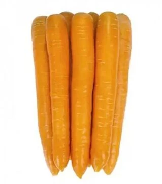 Семена моркови Джерада F1, п.е. 25 тыс. семян (Rijk Zwaan)