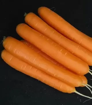 Семена моркови Санторин F1, п.е. 100 тыс. семян, 2,0-2,25 калибр (Clause)