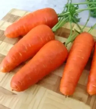 Насіння моркви Акат F1, п.о. 25 тис. насінин (Moravoseed)