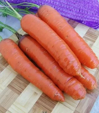 Семена моркови Кортина F1, п.е. 50 тыс. семян (Moravoseed)