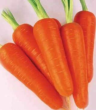 Семена моркови Абако F1, п.е. 1000 тыс. семян (Seminis)