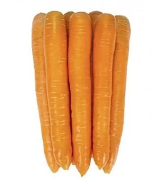 Насіння моркви Джерада F1, п.о. 100 тис. насінин (Rijk Zwaan)