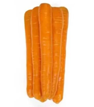 Семена моркови Морелия F1, п.е. 100 тыс. семян (Rijk Zwaan)