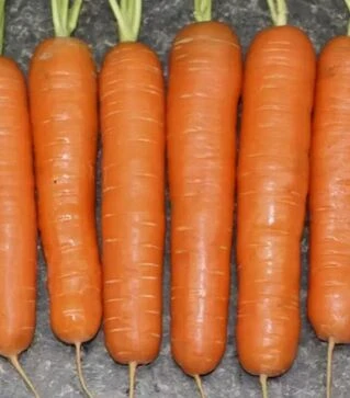 Насіння моркви Нантес Скарлет, 500 г (United Genetiks)