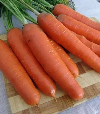 Насіння моркви Анета F1, п.о. 1000 тис. насінин (Moravoseed)