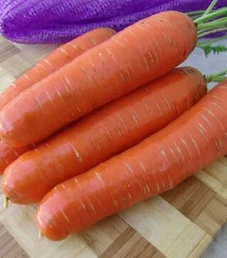 Насіння моркви Берліка F1, п.о. 1000 тис. насінин (Moravoseed)