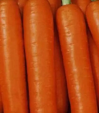 Семена моркови Красная боярыня, 500 г (Коуэлл)