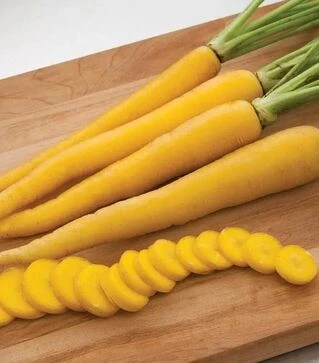 Насіння моркви Єлоубанч F1, п.о. 100 тис. насінин (Nunhems)