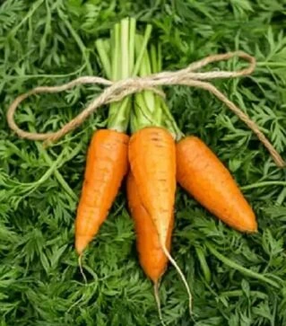 Семена моркови Шантане Ред Коредо 2, 250 г (Bakker Brothers)