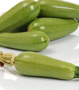 Семена кабачка Киви F1, п.е. 500 семян (Sakata)