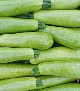 Семена кабачка Киви F1, п.е. 500 семян (Sakata)