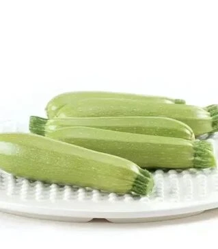 Семена кабачка Корделия F1, п.е. 500 семян (Syngenta)