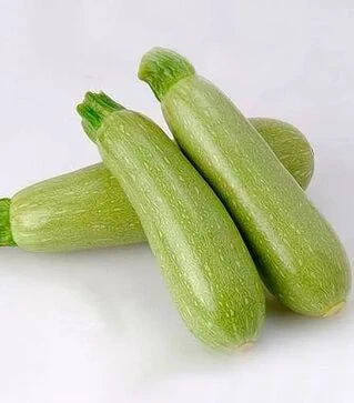 Насіння кабачка Арал F1, п.о. 1000 насінин (Sakata)