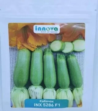 Семена кабачка Рэнди F1 (INX 5286), п.е. 500 семян (Innova Seeds)