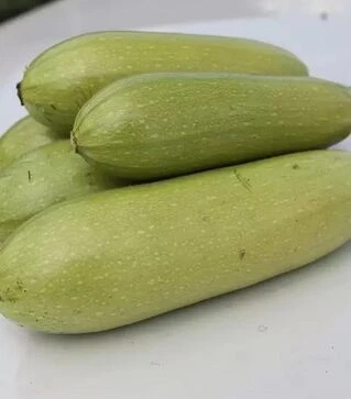 Насіння кабачка Амино F1, п.о. 500 насінин (Ergon)