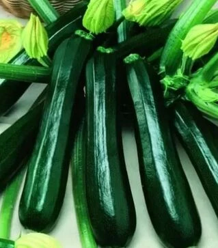 Семена кабачка Гамбит F1, 50 г (Semo)