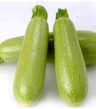 Насіння кабачка Арал F1, п.о. 50 насінин (Sakata)