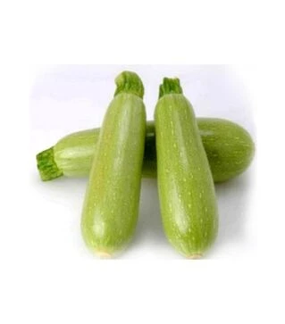 Насіння кабачка Арал F1, п.о. 100 насінин (Sakata)