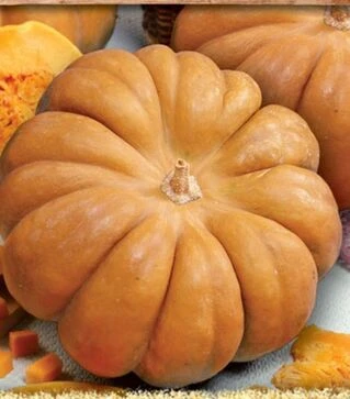 Насіння гарбузу Мускат де Прованс, 1 кг (Moravoseed)