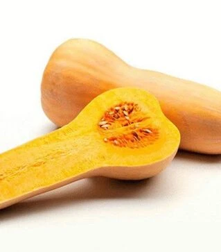 Насіння гарбузу Атлас F1, п.о. 500 насінин (Sakata)