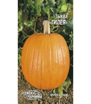 Семена тыквы Гилея, 3 г (Семена Украины)