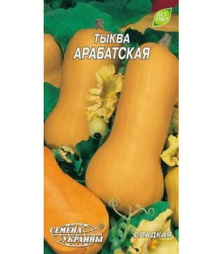 Насіння гарбуза Арабатський, 3 г, Євро (Насіння України)