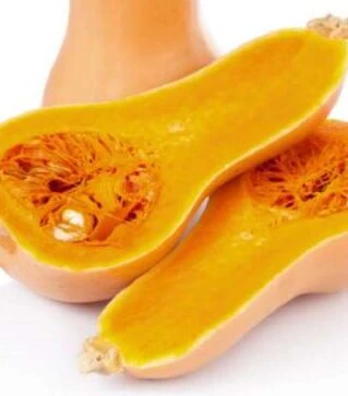 Насіння гарбуза Скарлет F1, п.о. 250 насінин (Libra Seeds)