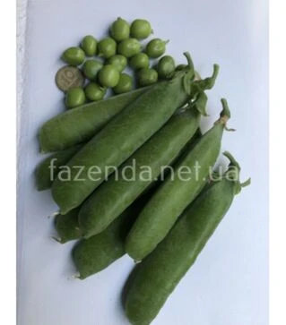 Насіння гороху Вондер, п.о. 2,5 тис. насінин (Spark Seeds)