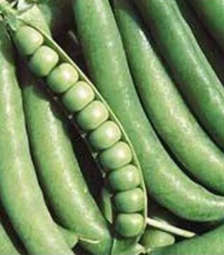 Насіння гороху Динга, 250 г (Satimex)