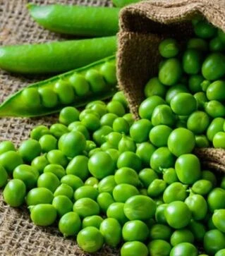 Насіння гороху Йохан, 250 г (Semo)
