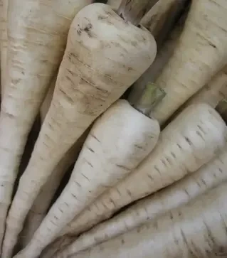 Насіння пастернаку Белас, 300 г (Semo)