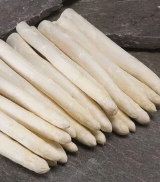 Семена спаржи Сигнус F1, п.е. 500 семян (Bejo)