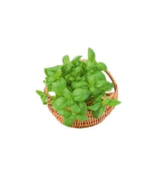 Семена базилика Боназза, 50 г (Leda Seeds)