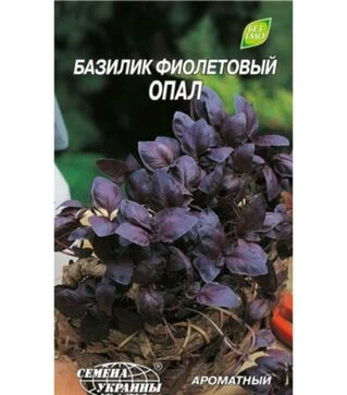 Насіння базиліку Фіолетовий Опал, 25 г (Насіння України)