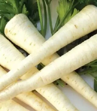 Насіння петрушки Халбландж, 500 г (Hortus)