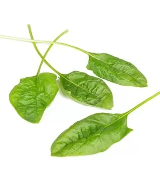 Семена шпината Блобфиш F1, п.е. 1 млн. семян (Rijk Zwaan)